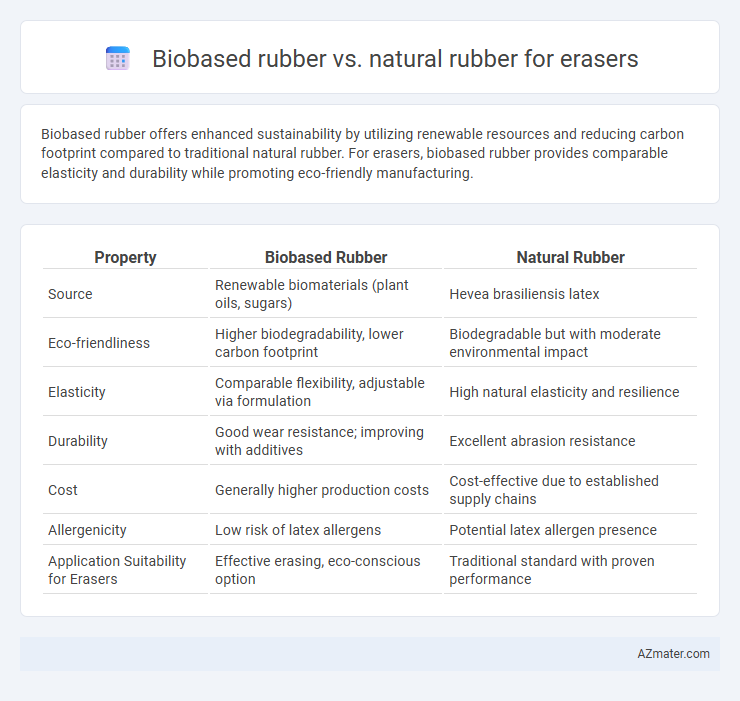 Biobased rubber vs. natural rubber for erasers - What is The Difference?
