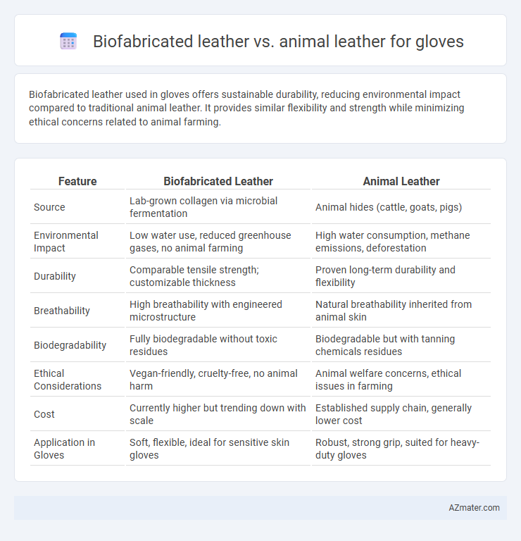 Biofabricated leather vs. animal leather for gloves - What is The Difference?