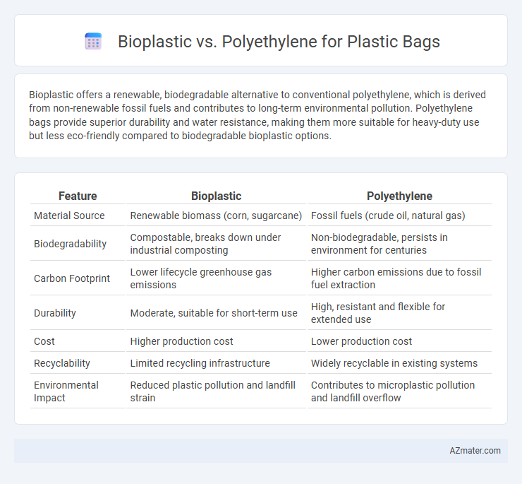 Bioplastic vs. Polyethylene for Plastic Bags - What is The Difference?