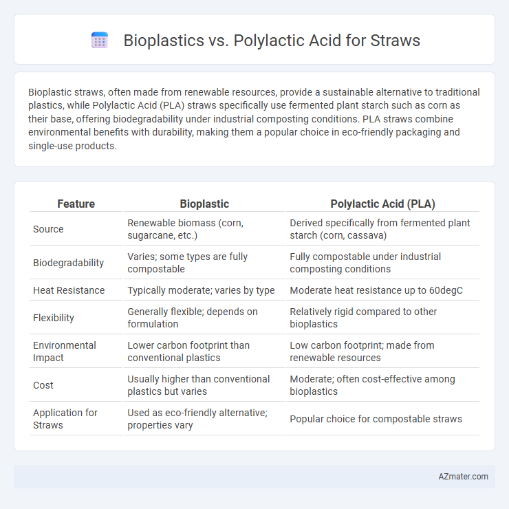 Bioplastics vs. Polylactic Acid for Straws - What is The Difference?