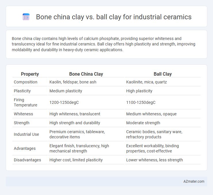 Bone china clay vs. ball clay for industrial ceramics - What is The Difference?