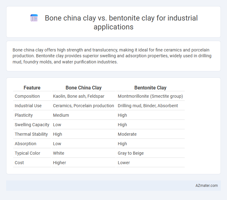 Bone china clay vs. bentonite clay for industrial applications - What is The Difference?