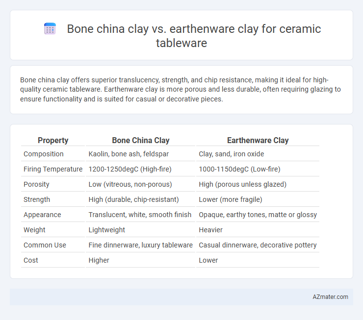 Bone china clay vs. earthenware clay for ceramic tableware - What is The Difference?
