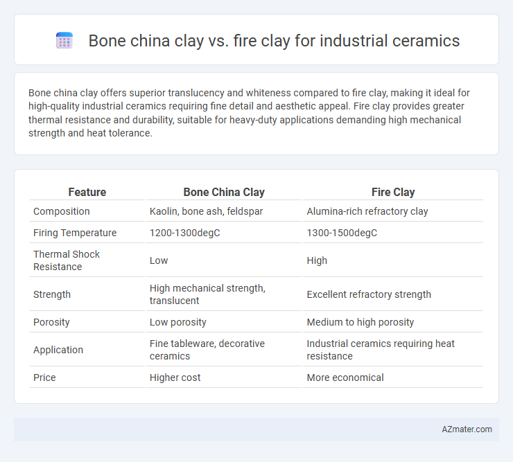 Bone china clay vs. fire clay for industrial ceramics - What is The Difference?