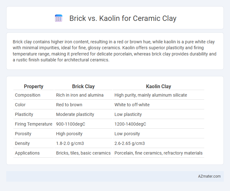Brick vs. Kaolin for Ceramic Clay - What is The Difference?