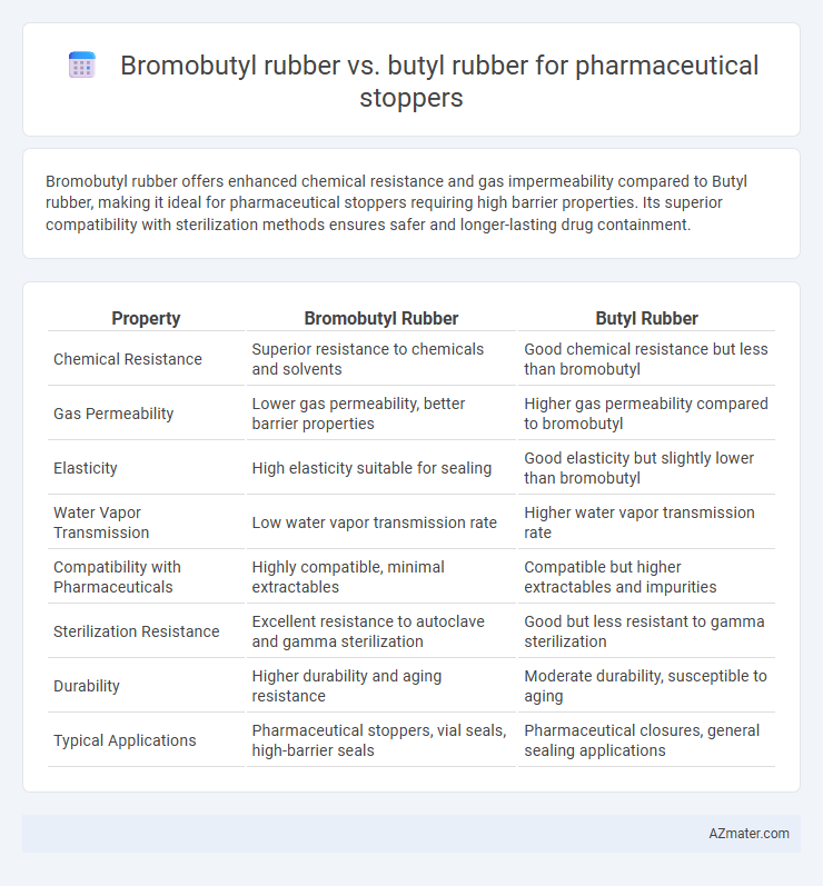 Bromobutyl rubber vs. butyl rubber for pharmaceutical stoppers - What is The Difference?