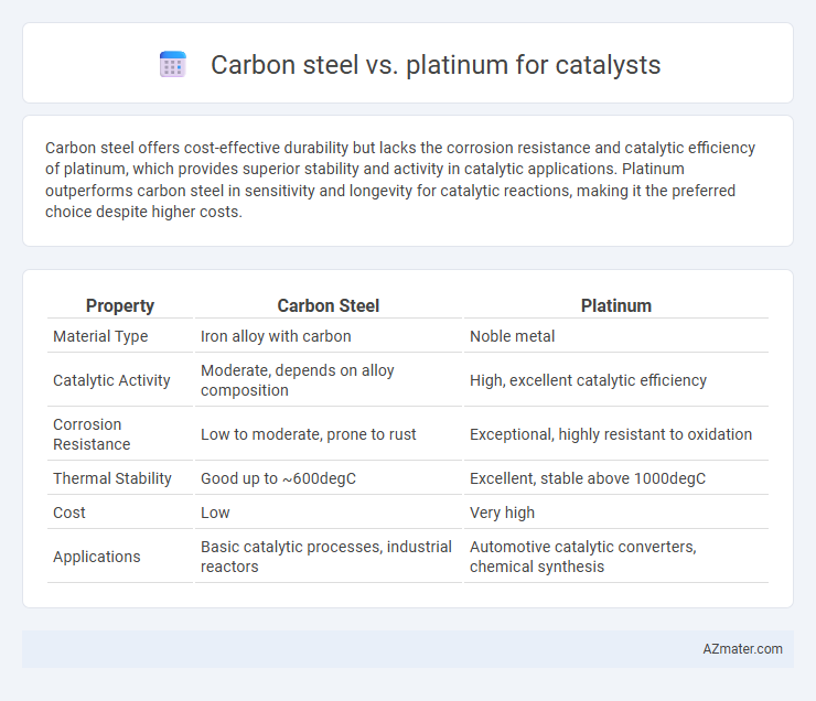 Carbon steel vs. platinum for catalysts - What is The Difference?