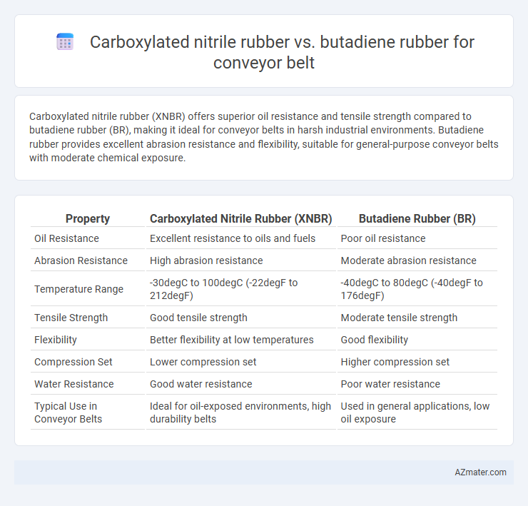 Carboxylated nitrile rubber vs. butadiene rubber for conveyor belt - What is The Difference?