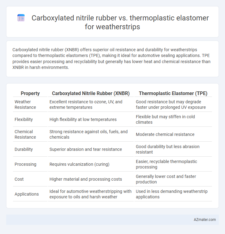 Carboxylated nitrile rubber vs. thermoplastic elastomer for weatherstrips - What is The Difference?