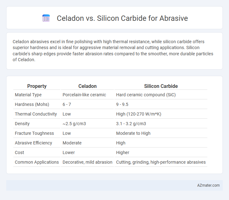 Celadon vs. Silicon Carbide for Abrasive - What is The Difference?