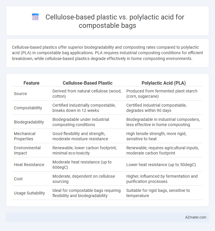 Cellulose-based plastic vs. polylactic acid for compostable bags - What is The Difference?