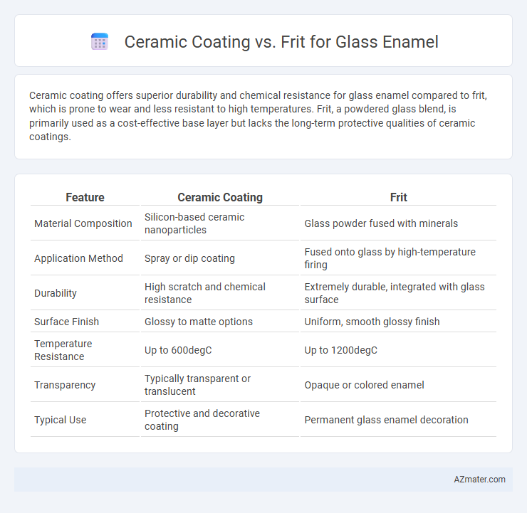Ceramic Coating vs. Frit for Glass Enamel - What is The Difference?