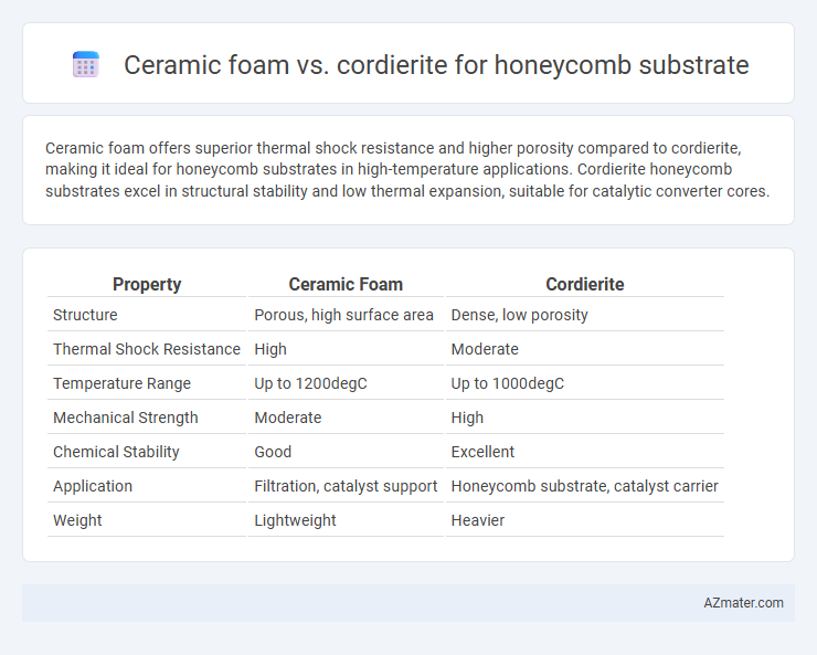 Ceramic foam vs. cordierite for honeycomb substrate - What is The Difference?