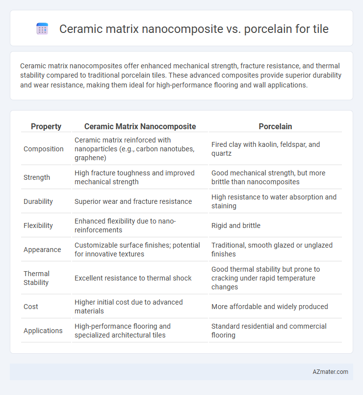 Ceramic matrix nanocomposite vs. porcelain for tile - What is The Difference?