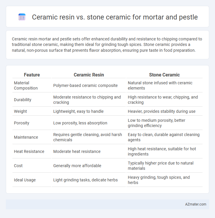 Ceramic resin vs. stone ceramic for mortar and pestle - What is The Difference?