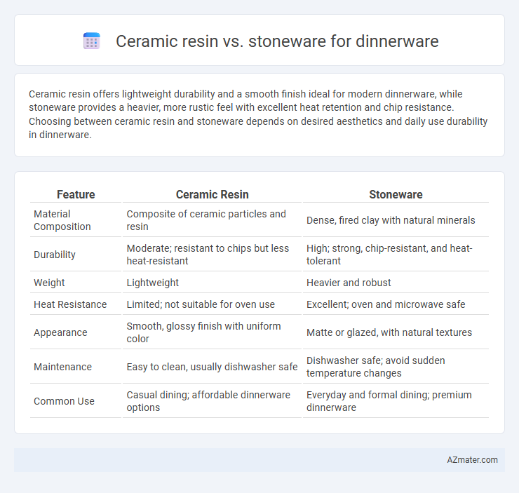 Ceramic resin vs. stoneware for dinnerware - What is The Difference?
