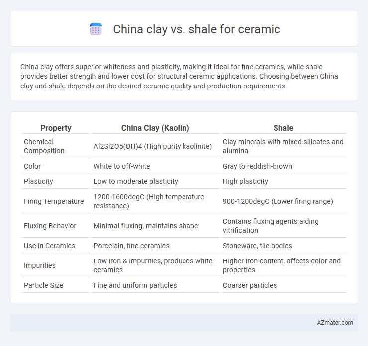 China clay vs. shale for ceramic - What is The Difference?