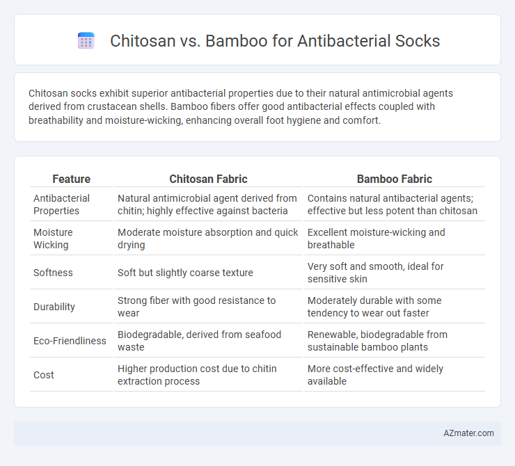 Chitosan vs. Bamboo for Antibacterial Socks - What is The Difference?