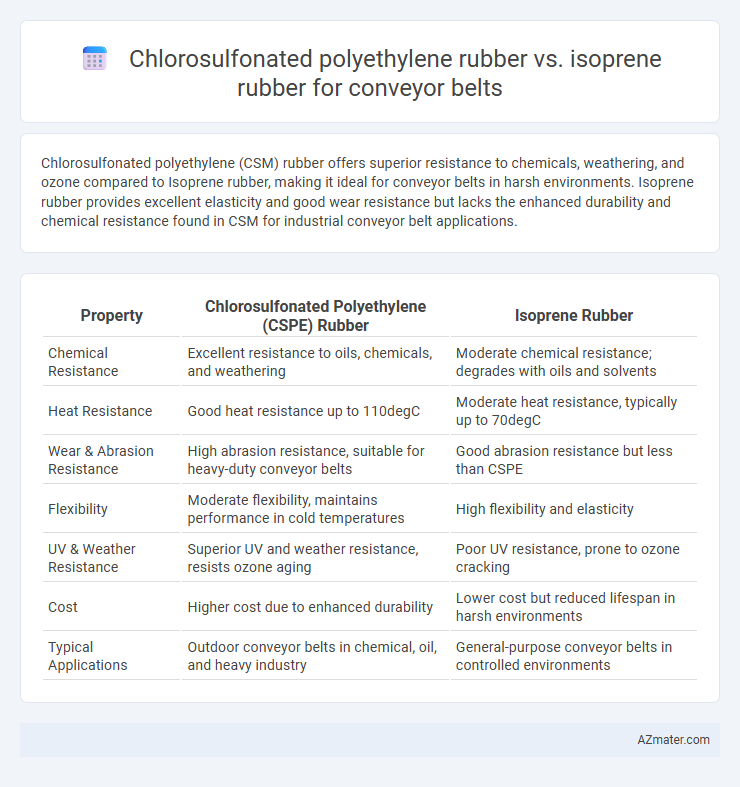 Chlorosulfonated polyethylene rubber vs. isoprene rubber for conveyor belts - What is The Difference?
