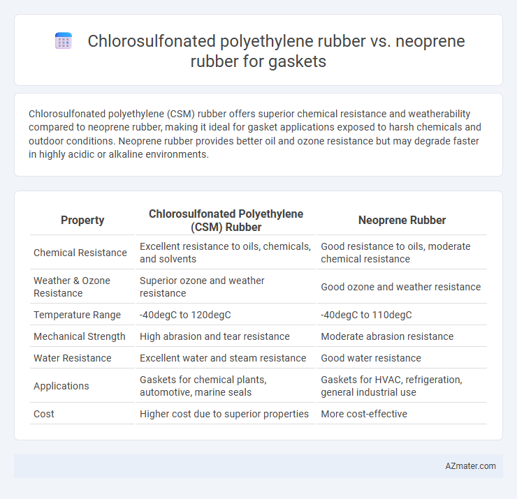 Chlorosulfonated polyethylene rubber vs. neoprene rubber for gaskets - What is The Difference?