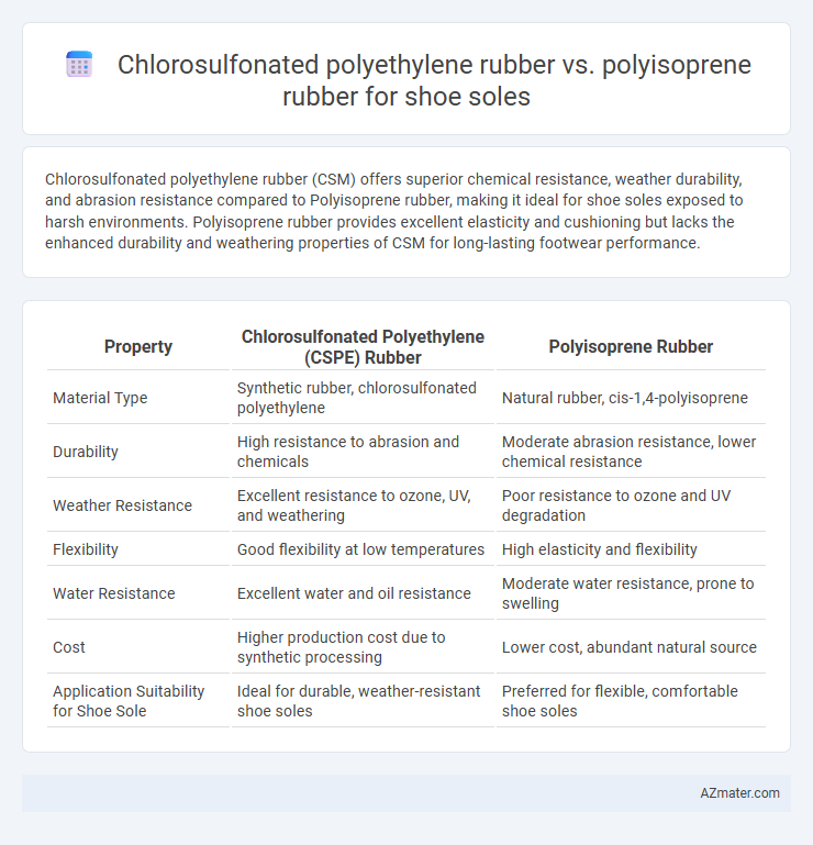 Chlorosulfonated polyethylene rubber vs. polyisoprene rubber for shoe soles - What is The Difference?
