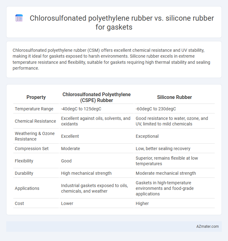 Chlorosulfonated polyethylene rubber vs. silicone rubber for gaskets - What is The Difference?