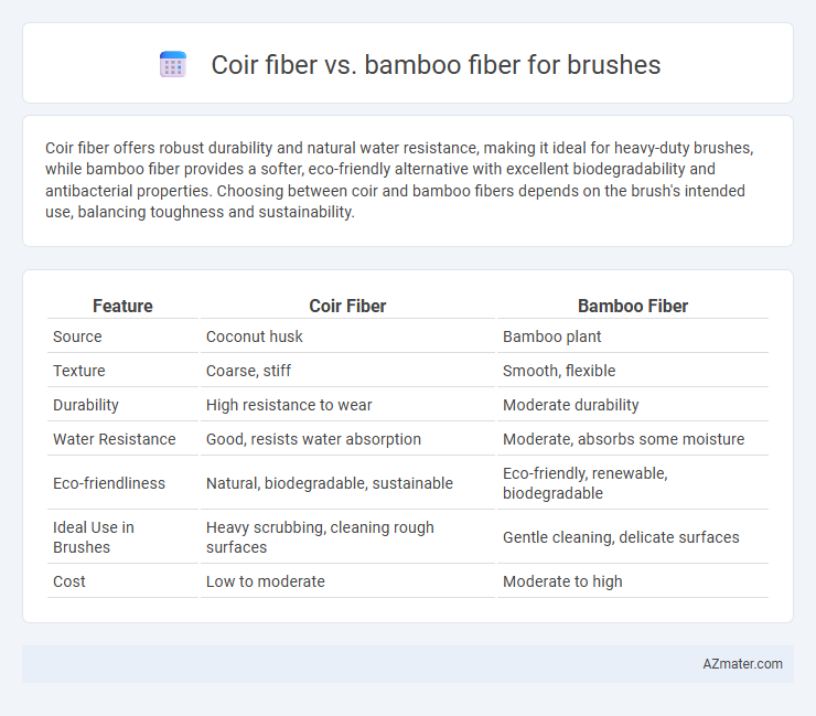 Coir fiber vs. bamboo fiber for brushes - What is The Difference?