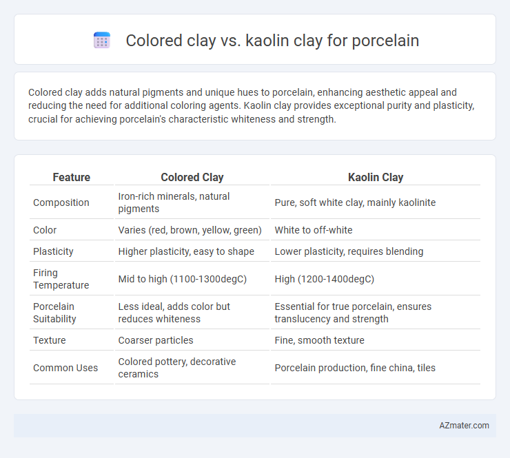 Colored clay vs. kaolin clay for porcelain - What is The Difference?