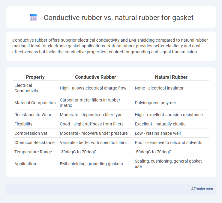 Conductive rubber vs. natural rubber for gasket - What is The Difference?