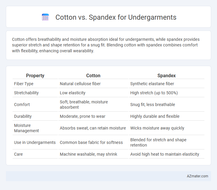 Cotton vs. Spandex for Undergarments - What is The Difference?