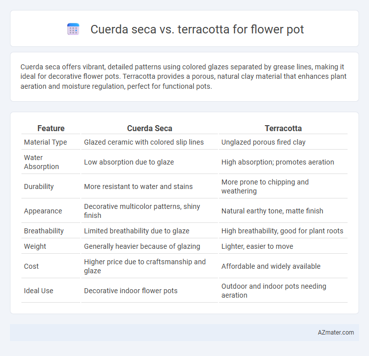 Cuerda seca vs. terracotta for flower pot - What is The Difference?