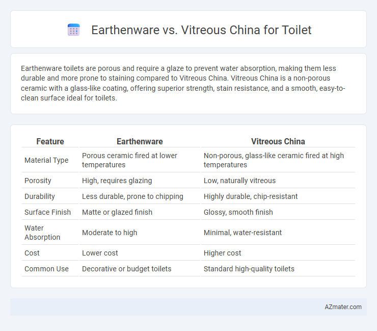 Earthenware vs. Vitreous China for Toilet - What is The Difference?