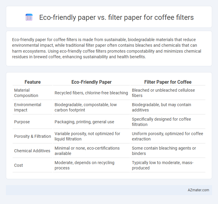Eco-friendly paper vs. filter paper for coffee filters - What is The Difference?