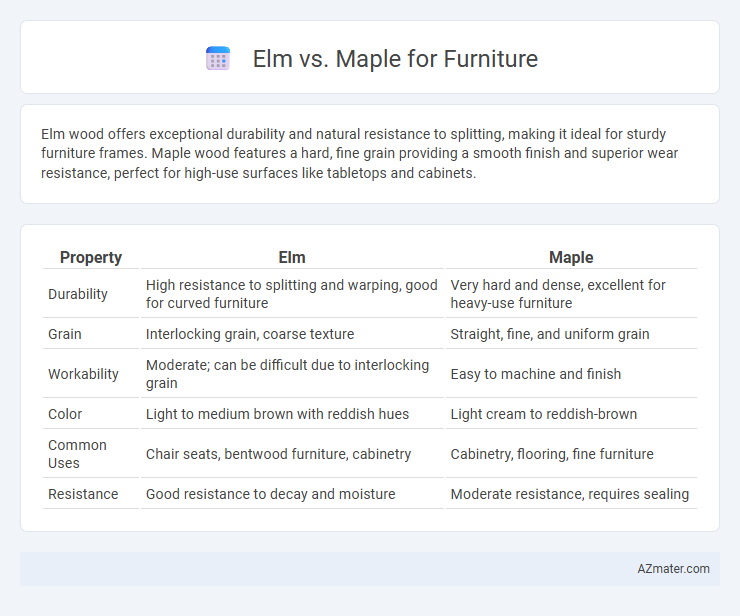 Elm vs. Maple for Furniture - What is The Difference?