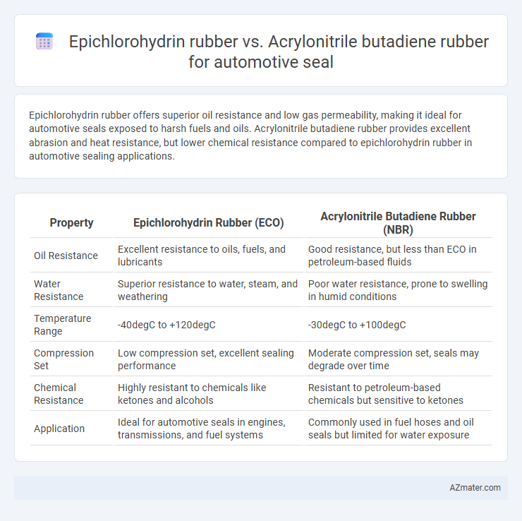 Epichlorohydrin rubber vs. Acrylonitrile butadiene rubber for automotive seal - What is The Difference?