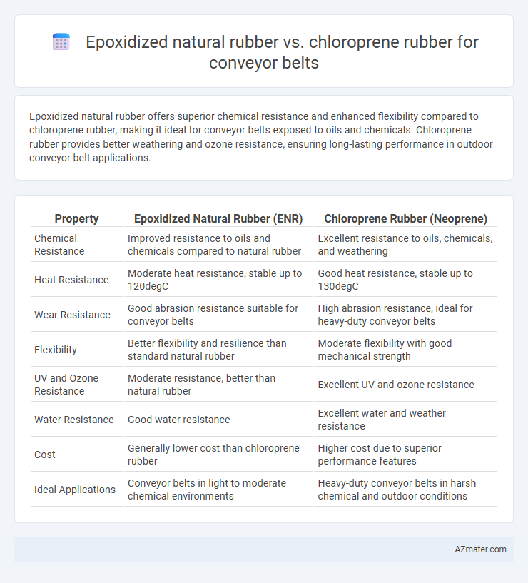 Epoxidized natural rubber vs. chloroprene rubber for conveyor belts - What is The Difference?