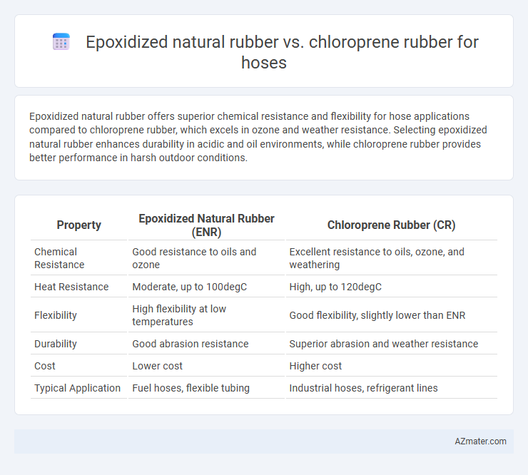 Epoxidized natural rubber vs. chloroprene rubber for hoses - What is The Difference?