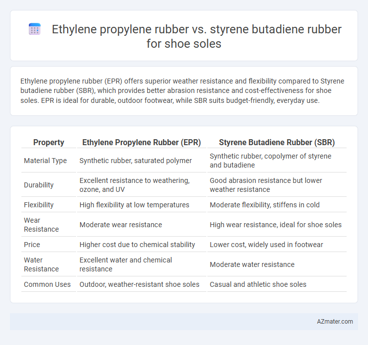 Ethylene propylene rubber vs. styrene butadiene rubber for shoe soles - What is The Difference?