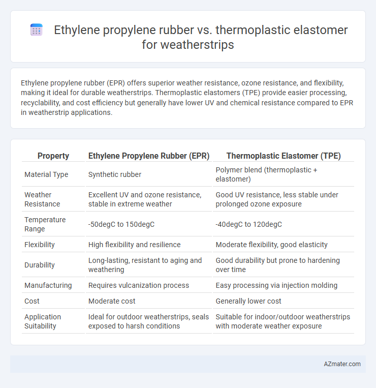 Ethylene propylene rubber vs. thermoplastic elastomer for weatherstrips - What is The Difference?