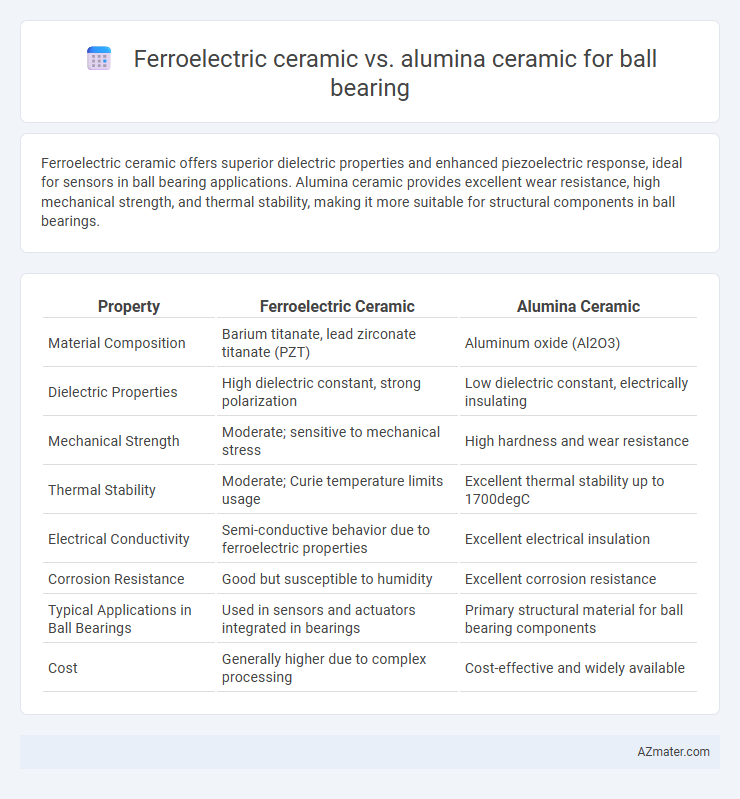 Ferroelectric ceramic vs. alumina ceramic for ball bearing - What is The Difference?
