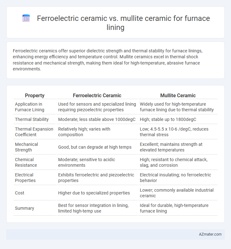 Ferroelectric ceramic vs. mullite ceramic for furnace lining - What is The Difference?
