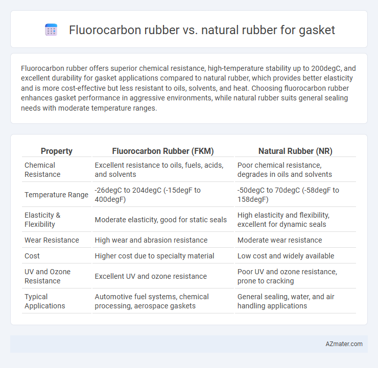 Fluorocarbon rubber vs. natural rubber for gasket - What is The Difference?