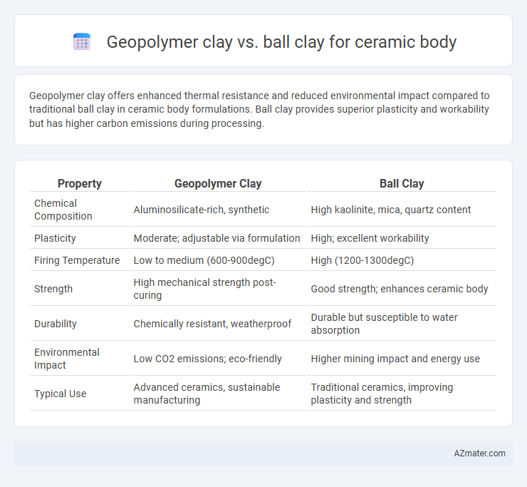 Geopolymer clay vs. ball clay for ceramic body - What is The Difference?