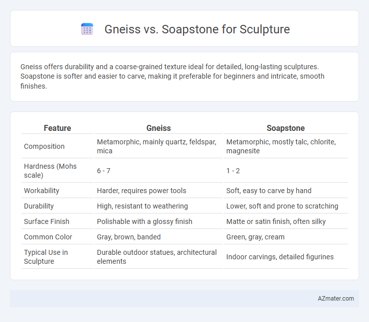 Gneiss vs. Soapstone for Sculpture - What is The Difference?