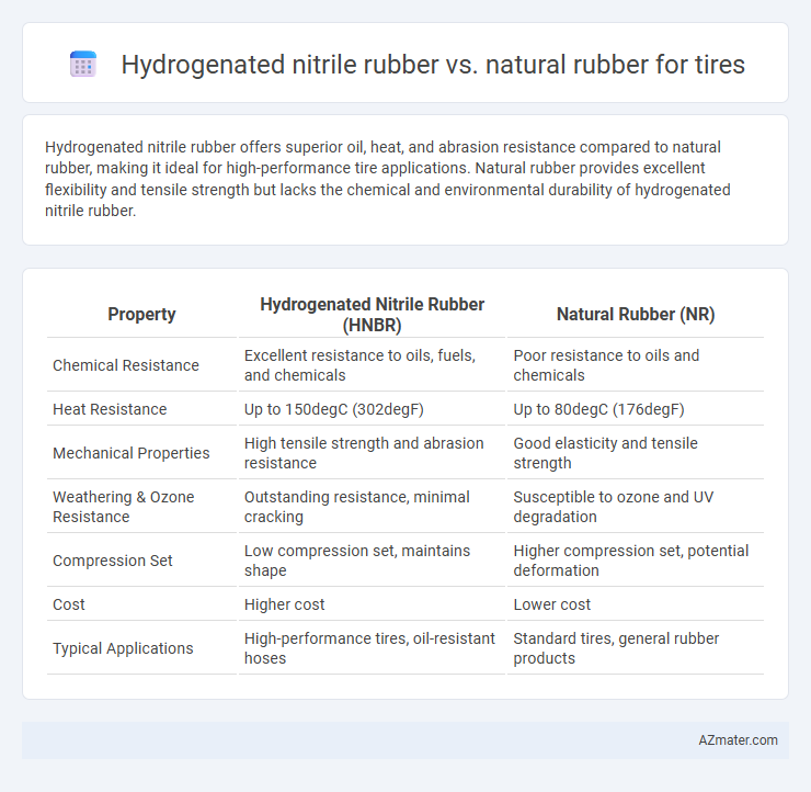 Hydrogenated nitrile rubber vs. natural rubber for tires - What is The Difference?