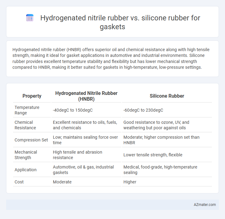 Hydrogenated nitrile rubber vs. silicone rubber for gaskets - What is The Difference?