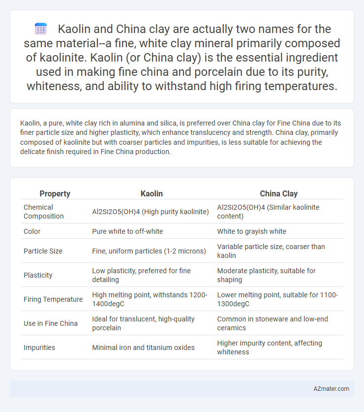 Kaolin and China clay are actually two names for the same material--a fine, white clay mineral primarily composed of kaolinite. Kaolin (or China clay)