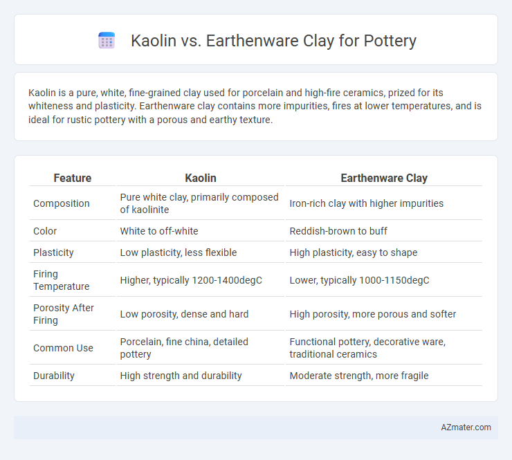 Kaolin vs. Earthenware Clay for Pottery - What is The Difference?
