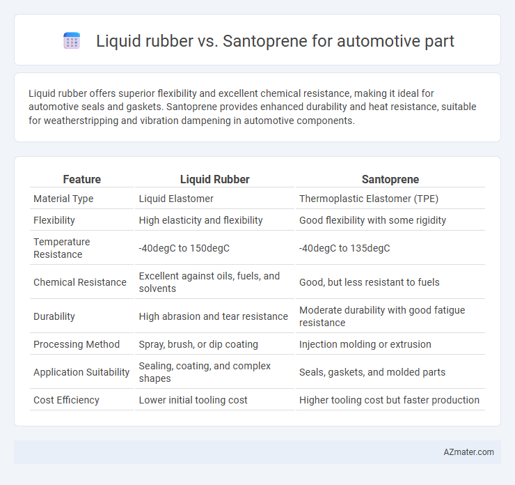 Liquid rubber vs. Santoprene for automotive part - What is The Difference?