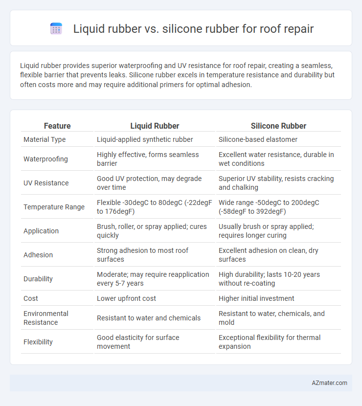 Liquid rubber vs. silicone rubber for roof repair - What is The Difference?
